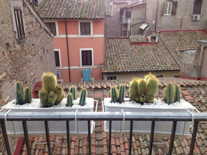 شقة Campo Dei Fiori Funny Flat روما المظهر الخارجي الصورة